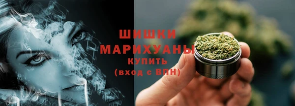 сатива Инсар