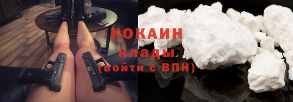 сатива Инсар