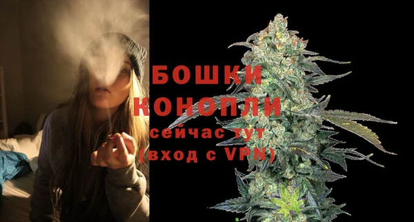 сатива Инсар