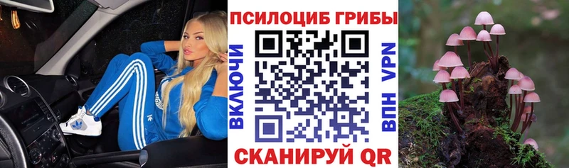 Псилоцибиновые грибы ЛСД  Купить закладки  Всеволожск 